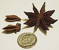 Star Anise