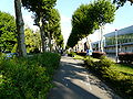 "Coulée verte" du Boulevard de la Liberté