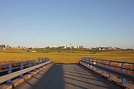 Campiña de Jerez IMG 6032.jpg