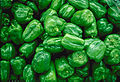 green paprika