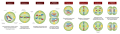 * Nomination Meiosis Stages -- Ali Zifan 19:36, 31 July 2016 (UTC) * Promotion Good quality. W.carter 19:32, 2 August 2016 (UTC)