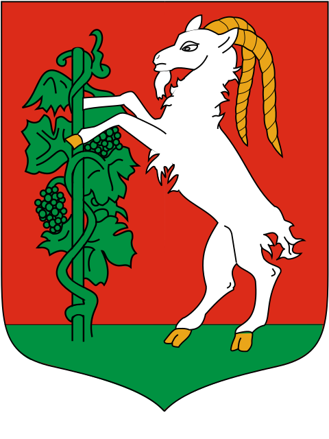 File:POL Lublin COA.svg