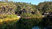 Thumbnail for File:Cenote Cristal.jpg