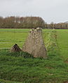 Le menhir de Mescléo.