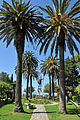 * Nomination The garden of the Achilleion in Corfu (Greece) -- MJJR 21:55, 10 December 2012 (UTC) * Promotion Good quality. --Poco a poco 15:15, 11 December 2012 (UTC)