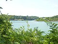 La ria du Bélon vue au niveau de sa confluence avec la ria annexe de l'anse de Penmor depuis la rive gauche au niveau du Bois de Kermeur Bihan.