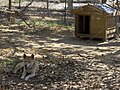 Caversham Wildlife Park