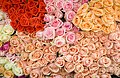 "Paris_Roses_(190005861)_(cropped).jpeg" by User:Salicyna