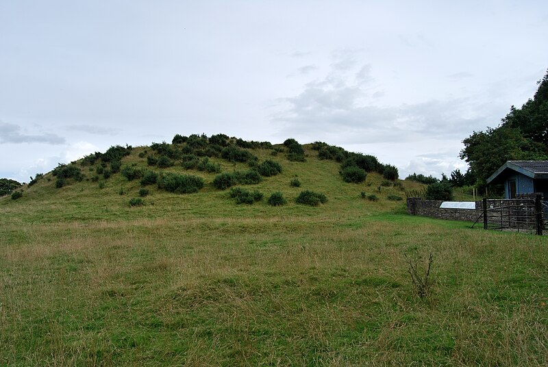 File:Tumulus de Dowth 1.JPG