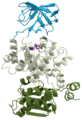 Three protein domains