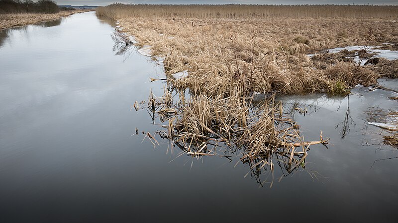 File:Europareservat Federsee in Oberschwaben AW10.jpg