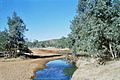 'Springs' in the Todd River that gave the name to the town.