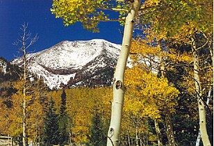 Humphreys Peak in the Kachina Peaks Wilderness Area