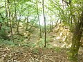 Trou correspondant à une ancienne carrière (il en existe plusieurs) le long de la rive gauche de la ria du Bélon entre le pont du Guily et l'anse de Kerascoët.