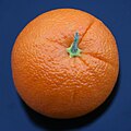 * Nomination An orange. --Jonathunder 01:02, 30 December 2011 (UTC) * Decline Not sharply. --Aleks G 20:45, 4 January 2012 (UTC)