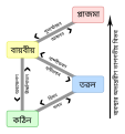 বাংলা • Bangla