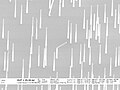 Epitaxial Nanowire Heterostructures SEM image.jpg