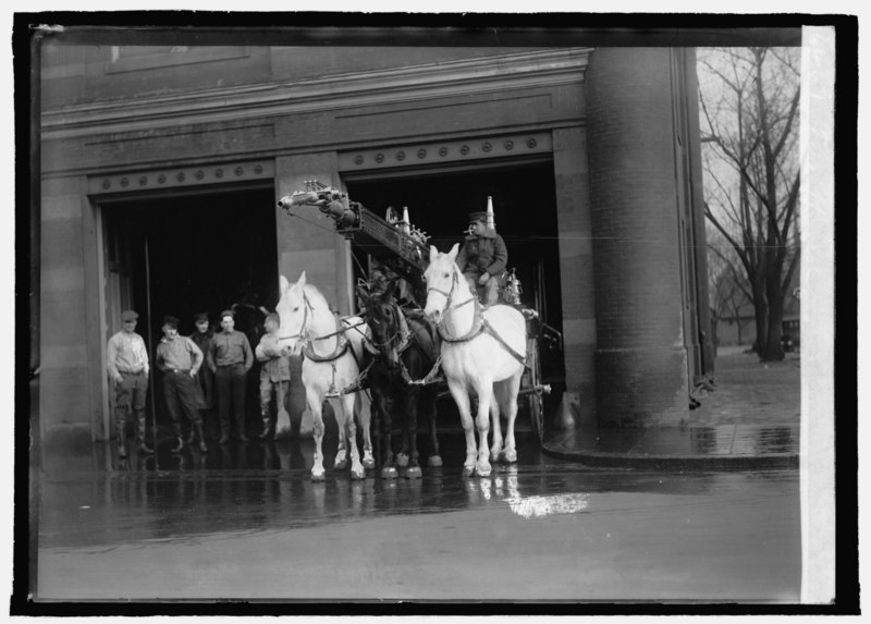 File:Fire horses LCCN2016822035.tif