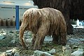 Reconstruction of a young mammoth, Anthropos museum, Brno, Czech Republic