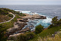 * Nomination View of Pacific Ocean in Carmel Highlands, CA. --King of Hearts 17:58, 19 December 2012 (UTC) * Promotion Good Quality --Rjcastillo 19:23, 19 December 2012 (UTC)