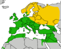 Falco tinnunculus tinnunculus (western part of range, not a complete range map)