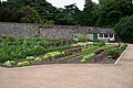 "Glasnevin_veg_gdn.jpg" by User:Ronhjones