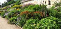 "Herbaceous_Border_Oxford_Botanic_Garden.jpg" by User:BVBurton