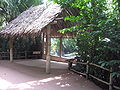 Babirusa enclosure