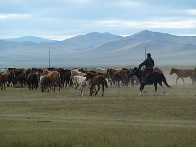 Khustain Nuruu National Park