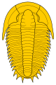 Trilobite heraldic 1.svg