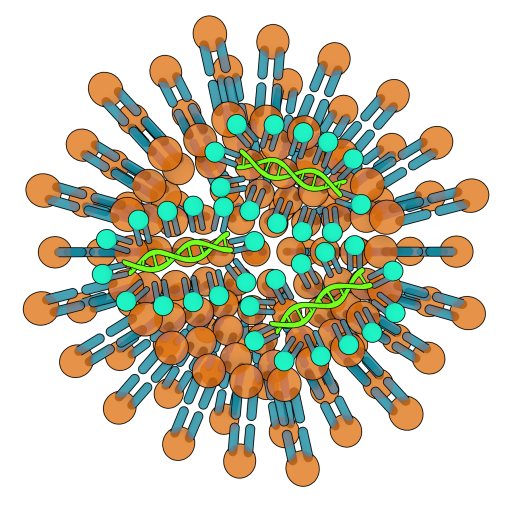 File:202103 mRNA vaccine.svg