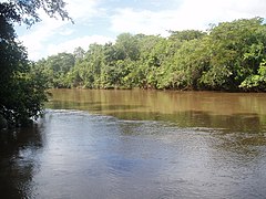 Rio Vacaria - panoramio.jpg