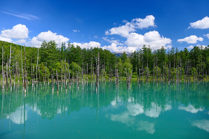 File:Shirogane-Blue-Pond summer.jpg