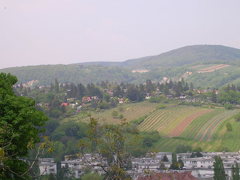 File:Hackenberg 060506.jpg