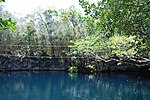 Thumbnail for File:Cenote Angelita.jpg