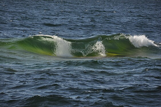 Eine Welle mitten im Meer