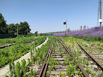 阳沟街道口东侧铁轨