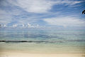 * Nomination Lagoon on Hauru Beach in Moorea island, French Polynesia.--Vilallonga 08:32, 24 December 2007 (UTC) * Decline A very nice mood! For some strange reason (lens distortion) the ocean is bend concave, just the opposite what it should do! Then I don't like the leafs on the right and the left. Last but not least it lacks contrast. Those things could be corrected by image editing. --Ikiwaner 10:02, 24 December 2007 (UTC)