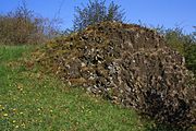 Impressionen vom Naturschutzgebiet Basaltblockmeer am Buchschirmküppel,