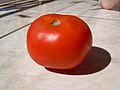 Tomate brasileiro cultivado na região oeste do Paraná.