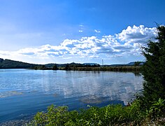 Nickajack Lake near Haletown