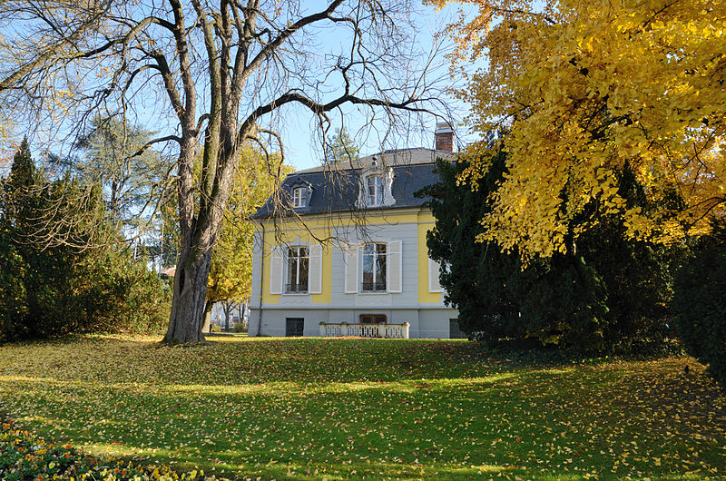 File:Lörrach - Villa Aichele7.jpg