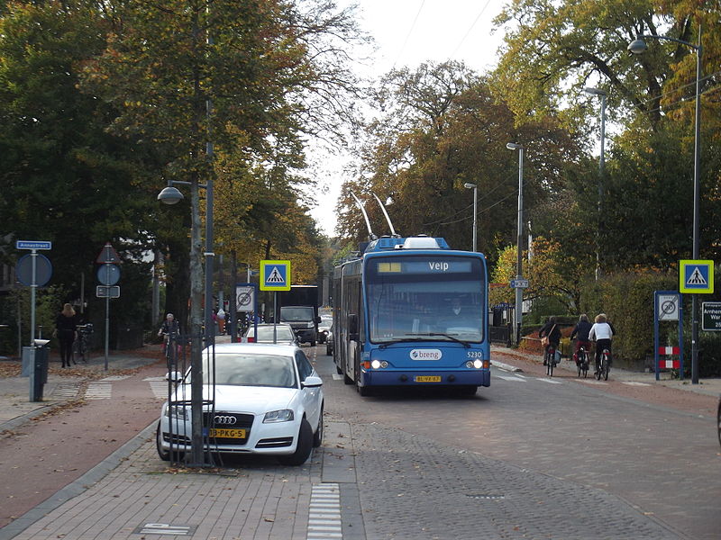 File:Trolleybuslijn 1 in Oosterbeek.jpg