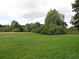 Čeština: Porost na Dolejším Kařezském rybníce. Přírodní památka Kařezské rybníky, okres Rokycany, Česká republika. English: Vegetation at Dolejší Kařezský rybník (pond) in Kařezské rybníky natural monument, Rokycany District, Czech Republic.