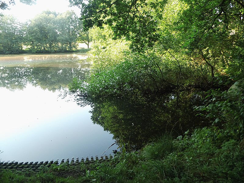 File:Lake in Gemeinde Molfsee i.jpg