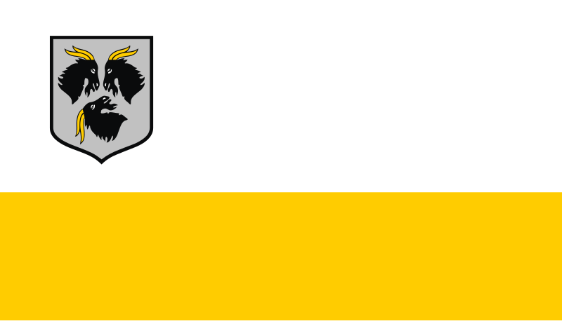 File:POL Kędzierzyn-Koźle flag.svg