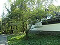 Deutsch: Chinesischer Garten Bochum, Außenansicht. English: Chinese Garden Bochum, outside view.