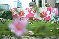 Seoul City Hall