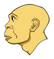 Homo heidelbergensis head.svg