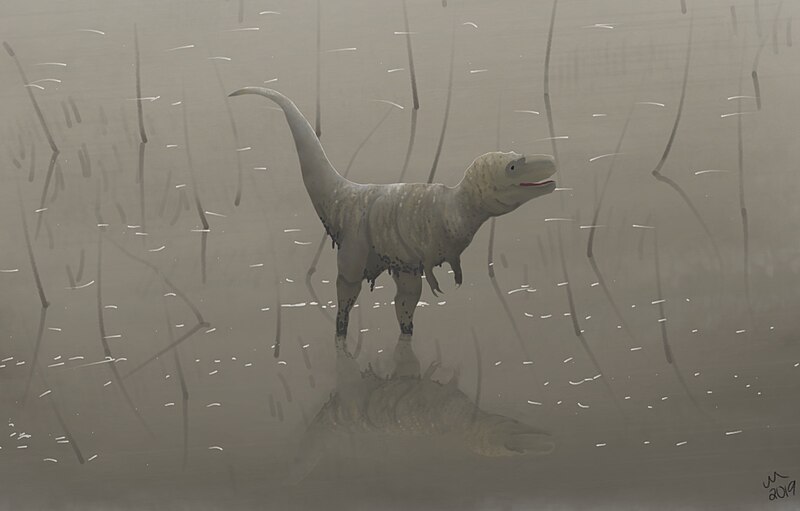 File:Juvenile Tyrannosaurus in lake.jpg